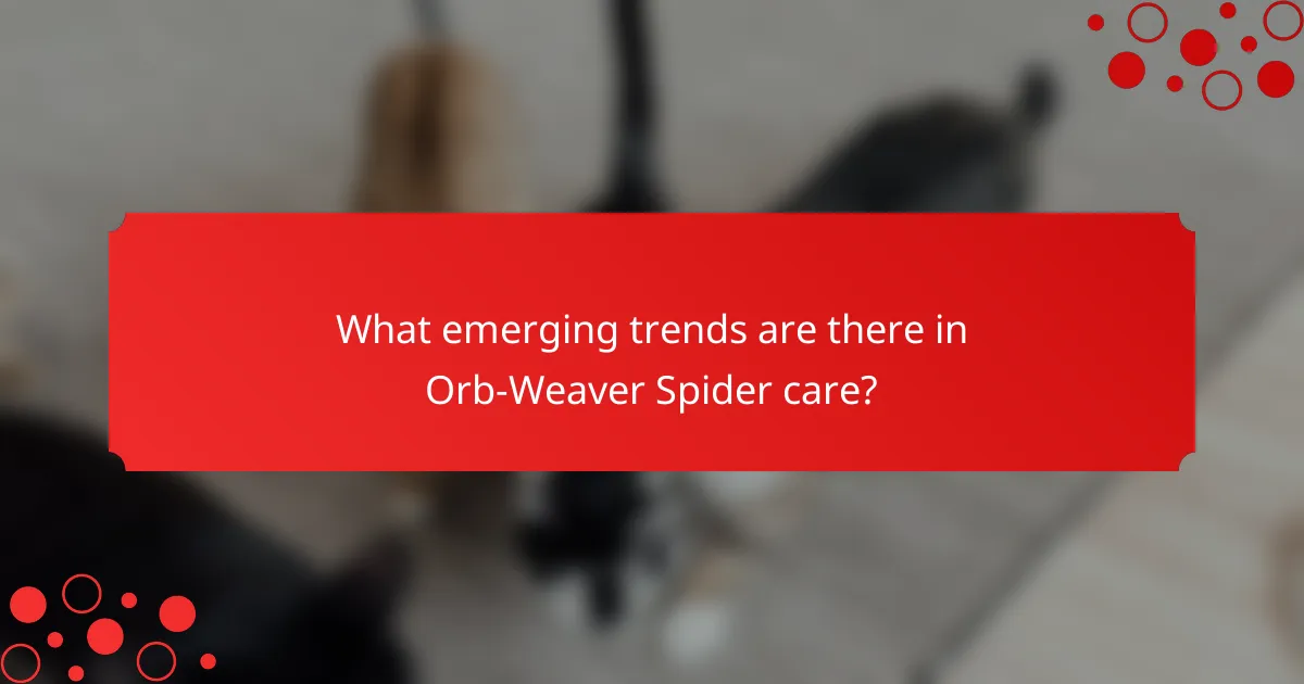 What emerging trends are there in Orb-Weaver Spider care?
