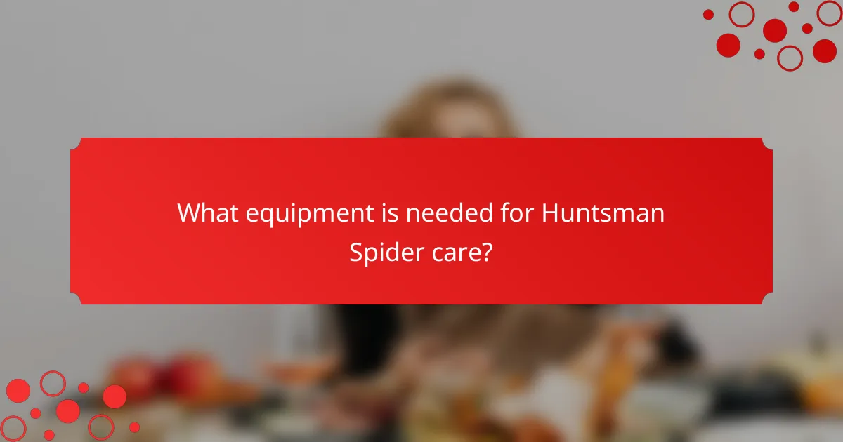 What equipment is needed for Huntsman Spider care?