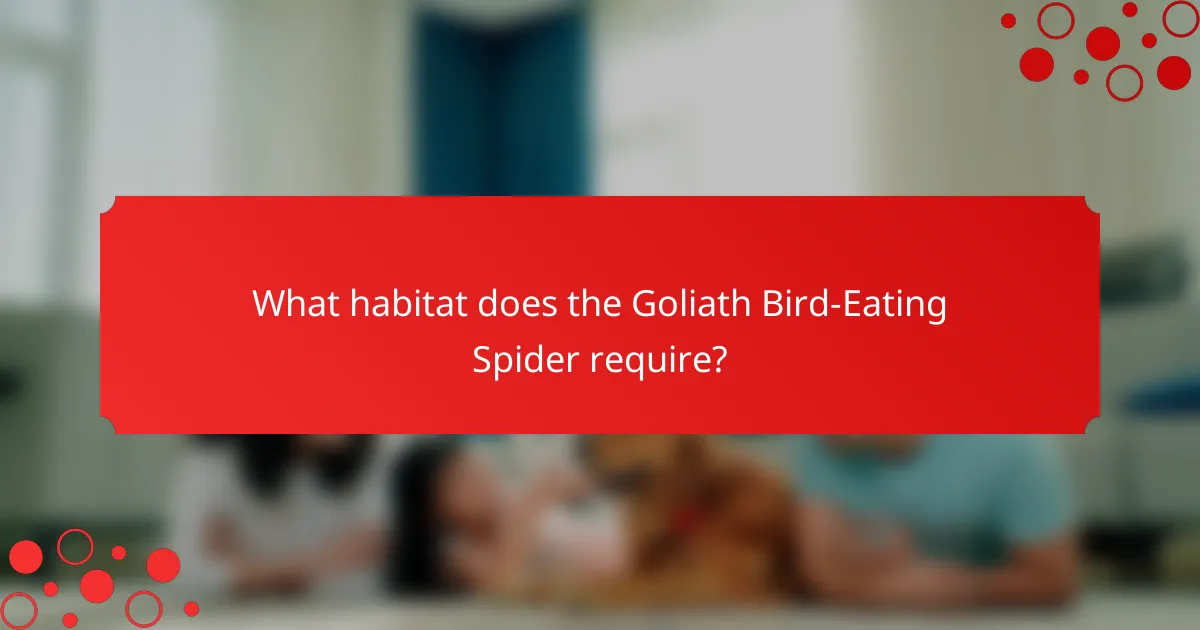 What habitat does the Goliath Bird-Eating Spider require?