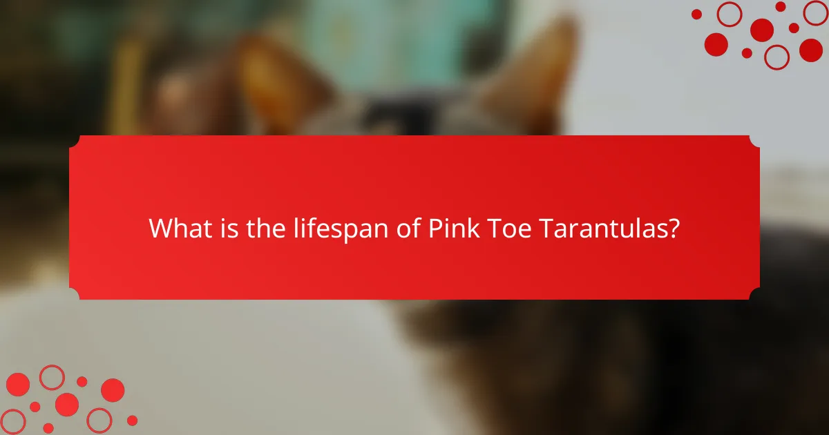 What is the lifespan of Pink Toe Tarantulas?