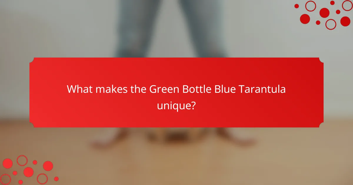 What makes the Green Bottle Blue Tarantula unique?