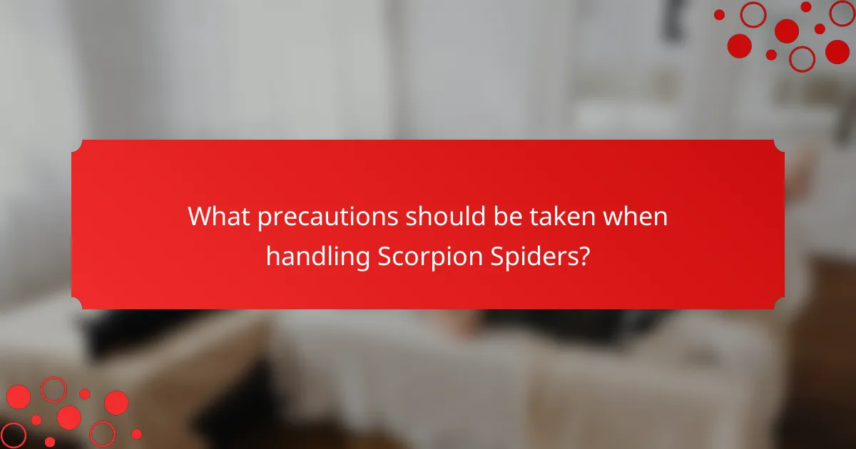 What precautions should be taken when handling Scorpion Spiders?
