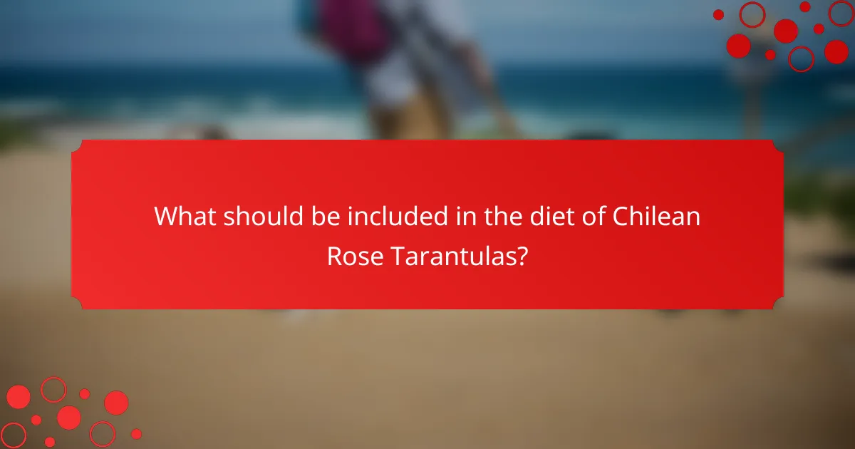What should be included in the diet of Chilean Rose Tarantulas?