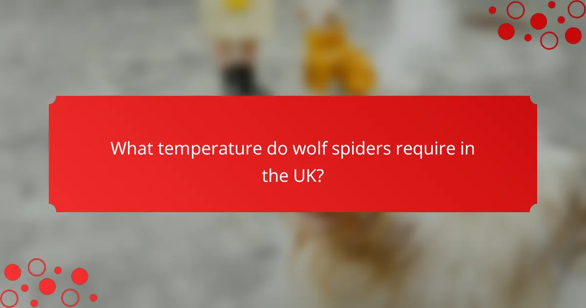What temperature do wolf spiders require in the UK?