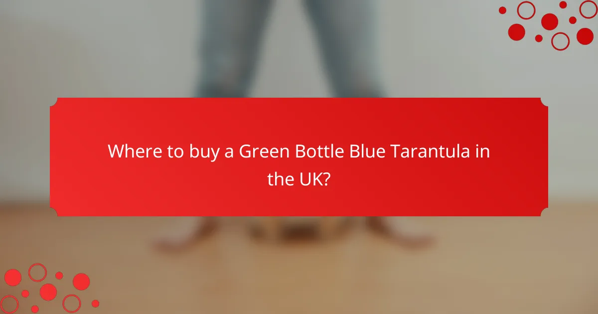 Where to buy a Green Bottle Blue Tarantula in the UK?